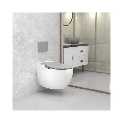 China Double-Flow White Extended For Household Easy Cleaning Smart Wall Mounted Hidden Hanging Toilet for sale