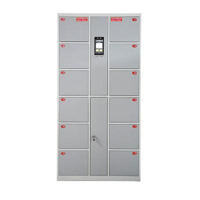 China WISCO Low Price 0.8mm Cold Rolled Plate Guaranteed Quality 12 Compartments Gray Storage Locker Recognition Locker for sale