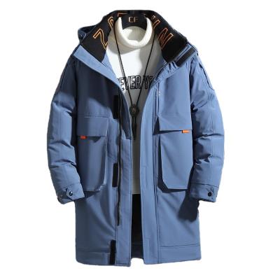 China Hot Selling New Style Winter Popular Anti-wrinkle Men's Classic Duck Down Jacket Men's Down Jacket for sale