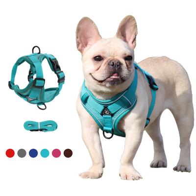 China New Fashion Pet Chest Durable Reflective Adjustable Strap Vest Outdoor Retractable Dog Walking Breathable Mesh Strap Cat Vest for sale