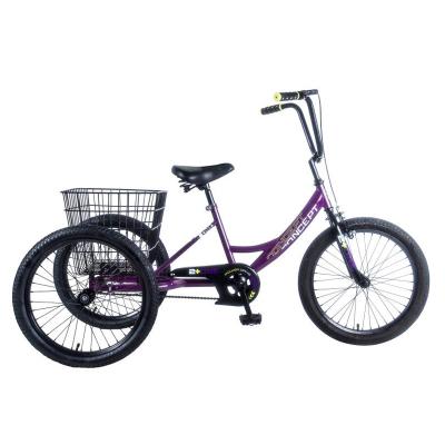 China Ride On New Cheap Toy Super Max 20TR-RG Kids Tricycle 20 Inch Child Bicycle For 8 To 18 Years Bike Pedicab Baby Other Tricycle C Scooter for sale