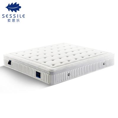 China Flippable Anti Bedsore Super Soft Comfortable Soft Topper King Size Air Foam Mattress for sale