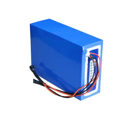 China High quality toys cell battery 24V36V48V lithium battery for sale