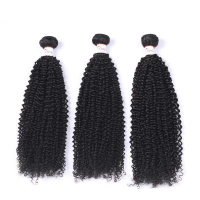 China 100% Kinky Curly Cheap Raw Indian Hair Bundles Curly Bundles With Closure Virgin Brazilian Cuticle Aligned Hair Mink Extensions for sale