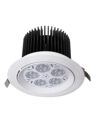 China Residential 40w LED Downlight Dimmable 5000K Daylight Recessed Retrofit Ceiling Mount For Jewelry Store for sale