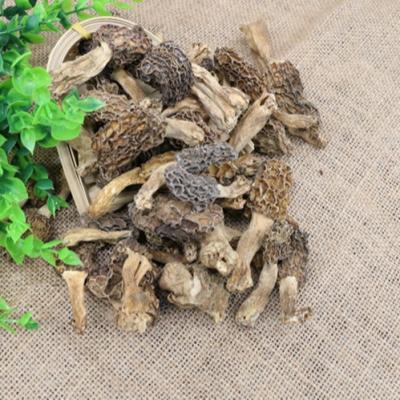 China Factory Sale Dried Widely Used Dried Nightshades Natural Various Grow Nightshade Mushroom Buyers for sale