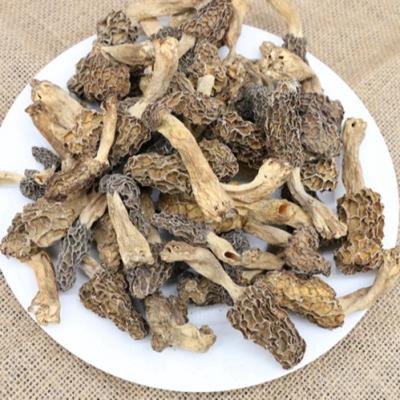 China Factory Supply Good Price Dry Dried Mushroom Dried Nightshade Mushrom for sale