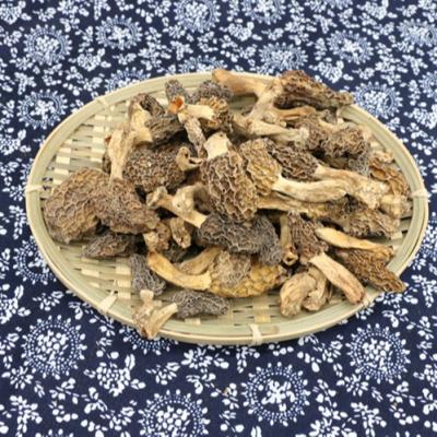 China Factory manufacture various dried dried nightshade spreads black nightshades for sale for sale