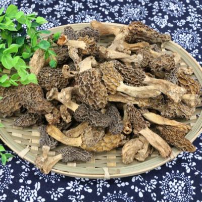 China China Professional Manufacture Dry Natural Nightshade Morchella Spreads Organic Nightshades for sale