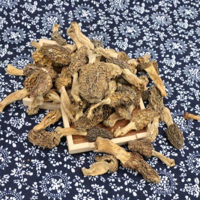 China Quality Dried Low Price Guaranteed Black Nightshades Dried White Nightshade Mushroom Dried for sale