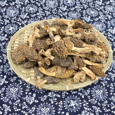 China Factory Wholesale Wholesale Dried Naturealm Dried Black Nightshade Mushrooms High Quality Mushrooms Directly for sale