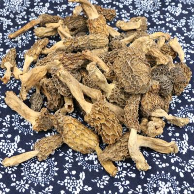 China Factory Manufacture Various Dried Dried Mushroom Dried Nightshade Mushrom for sale