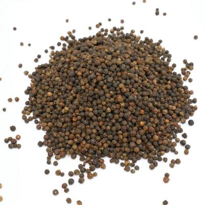 China Fresh Wholesale Black Pepper Grains Chinese Single Spice Ground Black Pepper for sale