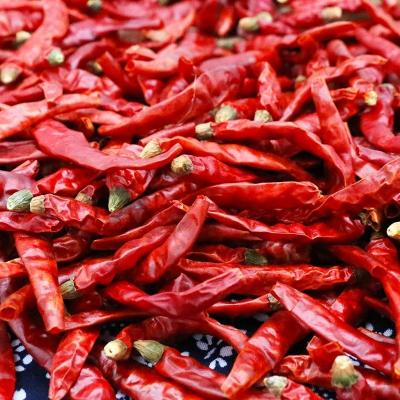 China Hot Selling Chili Pepper Sesame Soy Peanut Factory Manufacture Various Dry Pepper Chilies Dry Chilli for sale