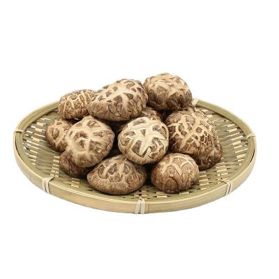 China Wholesale Export Dried Shiitake Mushroom Price Chinese Dried With Good Taste for sale