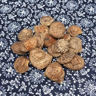 China China Top Quality Dried Dried Price Shiitake Mushroom for sale