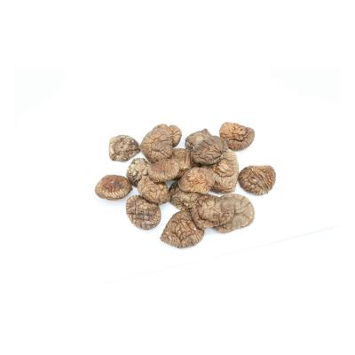 China Dry-shiitake-mushroom dry hot sale spores shiitake mushroom spawning mushroom for sale