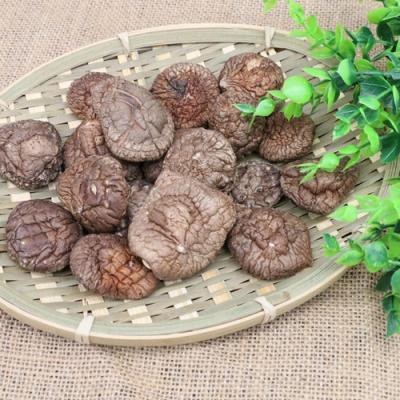 China Organic Quality Low Price Guaranteed Chinese Dried Shiitake Mushroom for sale