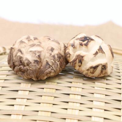 China Factory Directly Wholesale Hot Sale Season Dried Fresh Mushroom Price for sale