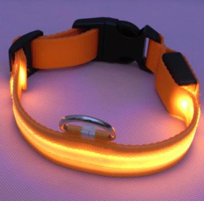 China Fluorescent Dog Collars Cat Collars Luminous Luminous Lights Pet Supplies Dog Collars for sale