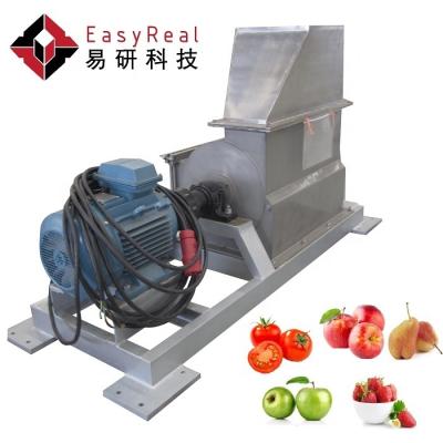 China High Efficiency Easy Operate Hot Selling Fruit Vegetable Crushing Machine Tomato Cutting Machine for sale