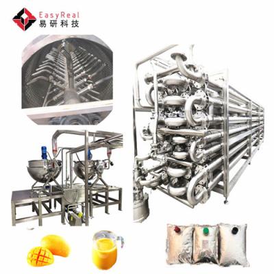 China Factory class supplier new design mango pulp process factory mango puree making machine line for sale for sale