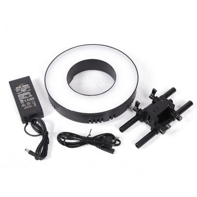 China Mini Selfie 10 Inch LED Ring Light with Cell Phone Holders for sale