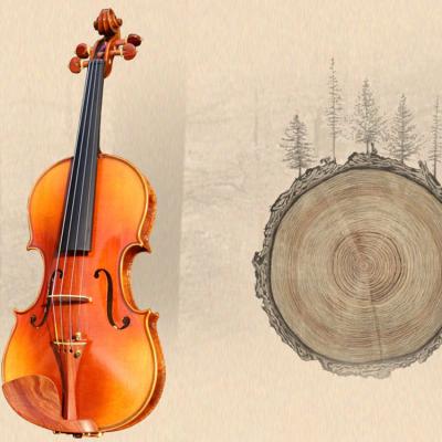 China Impeccable String Musical Instruments OEM Factory Price Handcraft Solid Maple Violin for sale