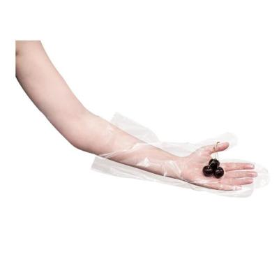 China Household Eco-friendly Disposable Plastic Clean Gloves Kitchen PVC Vynil Elastic Transparent Gloves Powder Free for sale