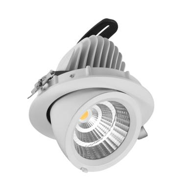 China Commercial Cool Grocery Lighting LED Spot Downlight 30W LED Down Light For Meat for sale