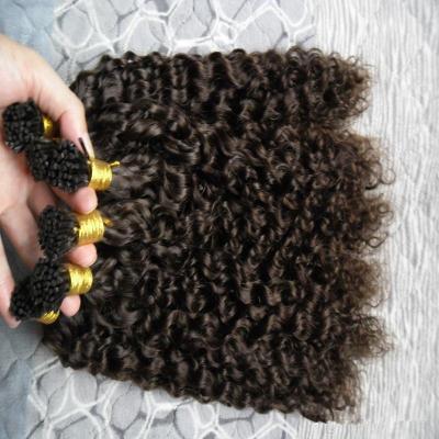 China #2 Wholesale Indian Curly Kinky Curly Human Hair Extensions Dark Brown Remy Remy Hair Extensions I Tip for sale