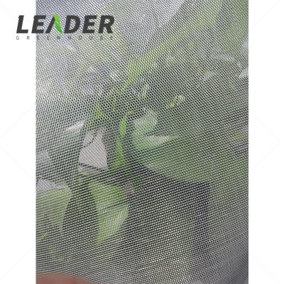 Cina Agriculture Greenhouse Insect Net Netting High Quality White Transparent Greenhouse Anti Insect UV Resistant in vendita