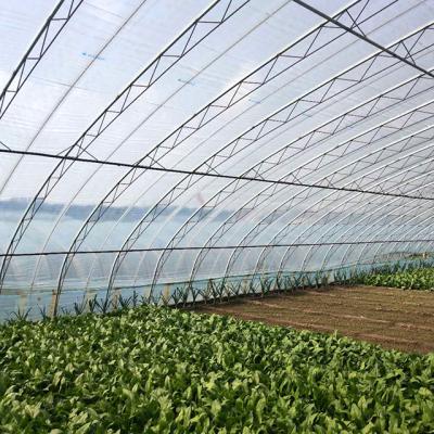 China 200 Micron Fruit Vegetable Flower Hot Selling Plastic Sheet Greenhouse Greenhouse Film For Sale en venta