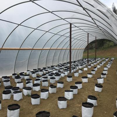 China Hot Selling Agricultural Fruit Vegetable Flowers Hemp Grow Greenhouse Blackout Greenhouse 30ftx100ft Greenhouse à venda