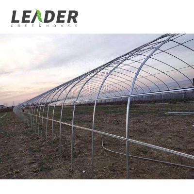 China Cheap Plant Flowers Vegetables Fruits Tunnel Plastic Sheet Greenhouse Simple Project For Sale à venda