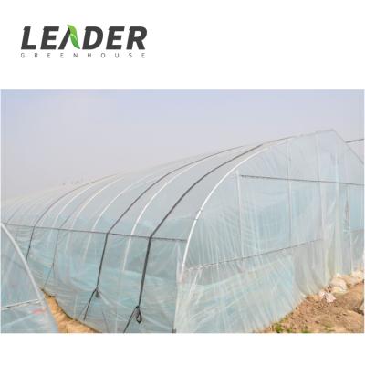 China Stable Structure Easily Assembled Single Span Garden Tunnel Galvanized Steel Pipe Greenhouse Project à venda