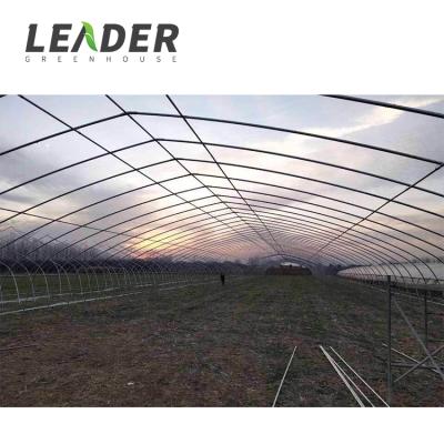 China Commercial single-span steel pe film stir wire galvanized steel frame growing mushroom tunnel greenhouse project à venda