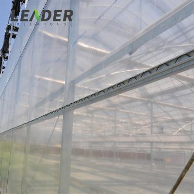 China Sunlight Steel Commercial Multi Span Strength Structure Farm Greenhouse High Quality Hot Dipped Galvanized Project à venda