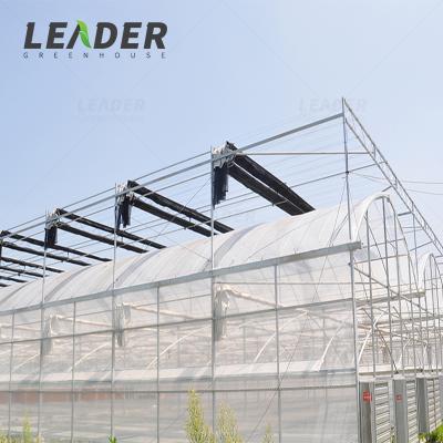 Китай Vegetable Plastic Greenhouse Or Hot White Tomato Steel Greenhouse Greenhouse Mushroom Sale продается