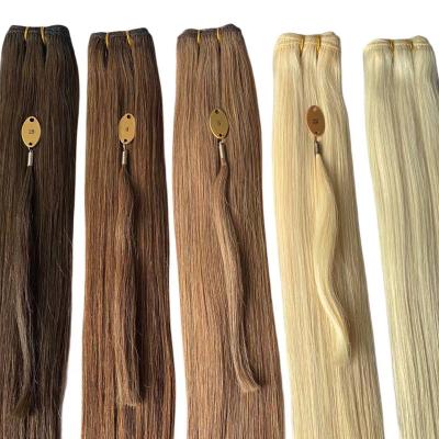 China Silky Straight Wave Light Color Top Quality Human Hair Extension Double Weft for sale