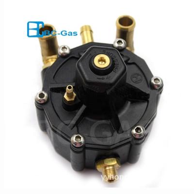 China Automatic gas pressure reducer lpg vaporizer universal for sale