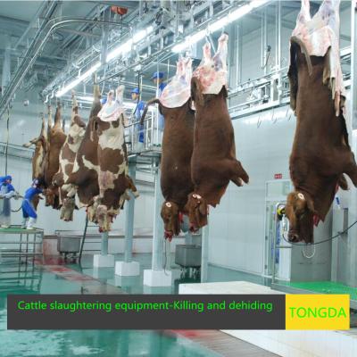 China Cattle Livestock Slaughterhouse Equipment - Bleeding Elevator for sale