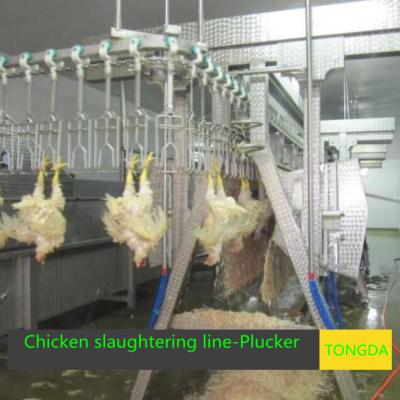 China POULTRY Chicken Plucking Machine for sale