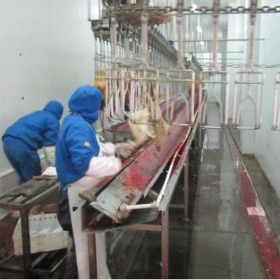 China POULTRY poultry slaughtering machine for chicken, duck, goose slaughterhouse for sale