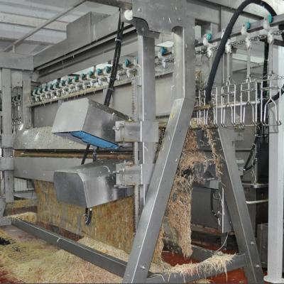 China POULTRY Plucking Machine Chicken Slaughtering Equipment for sale