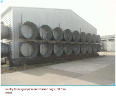 China Simple Structure Poultry Farming Equipment - Chicken Cage Type A for sale