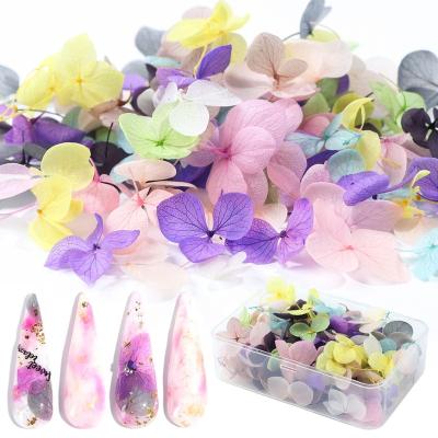 China Eco-friendly / Easy Apply Natural Flower Petals Dried Dry Flower For DIY Nail Decoration for sale