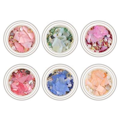 China Easy Apply 6pcs/set Mixed Ultrathin Irregular Colored Nail Art Shell Abalone Set Fragments DIY for sale