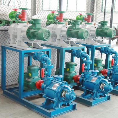 China Mining Industry China Vacuum Pump 2021 Hot Sale Rotary Vane Vacuum Pump for sale