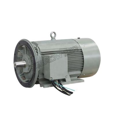 China Factory 400V 50HZ 1080421404 air compressor electric motor 1080424704 for atlas 45 GA55 GA75 90 copco GA 22 GA30 GA 37 for sale